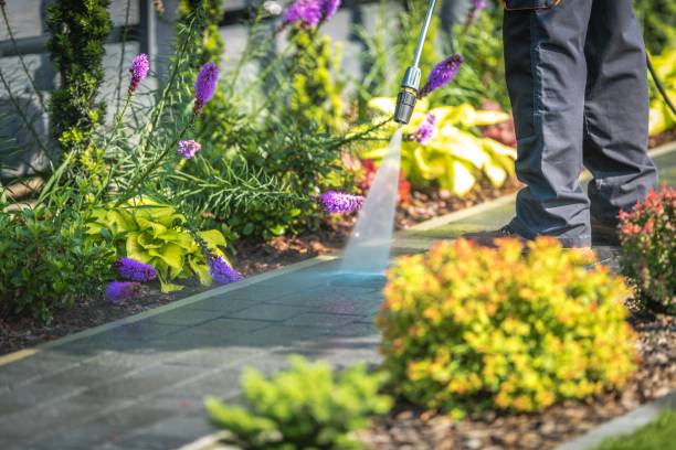 Best Restaurant Pressure Washing  in Tilden, NE